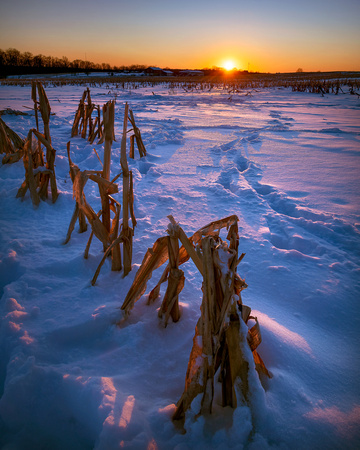 Snowy Pennsylvanian Farmland