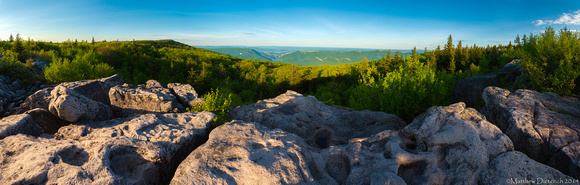 The Outlook
